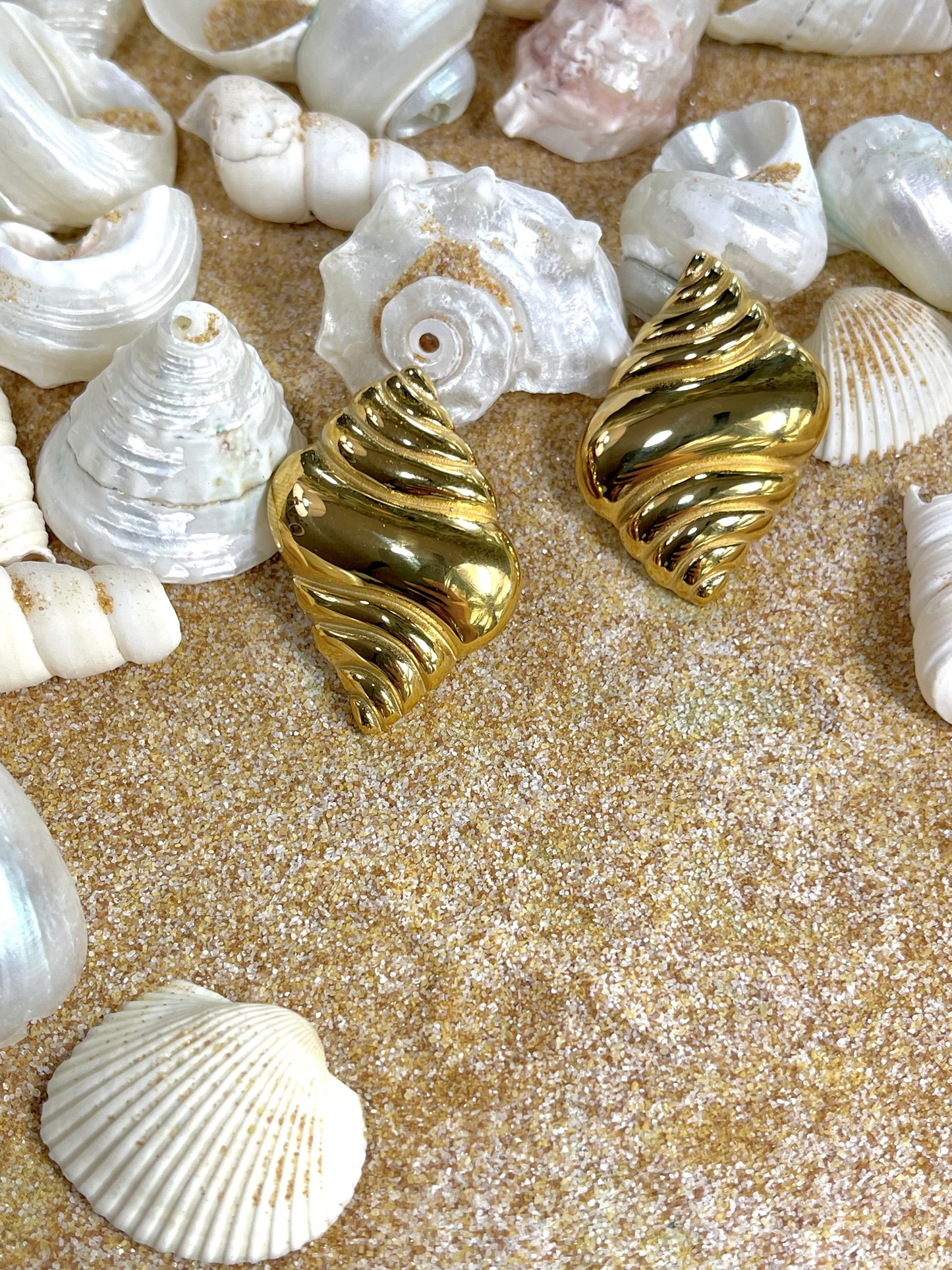 Shell Earrings