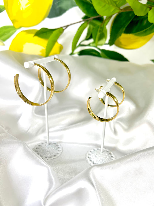 Aloha Hoop Earrings